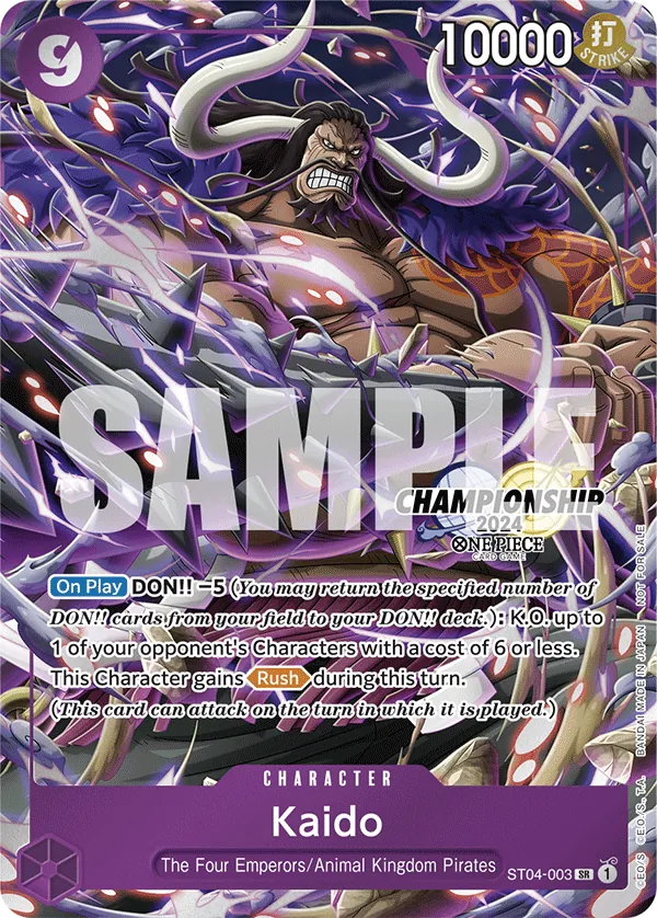 Kaido SR CS